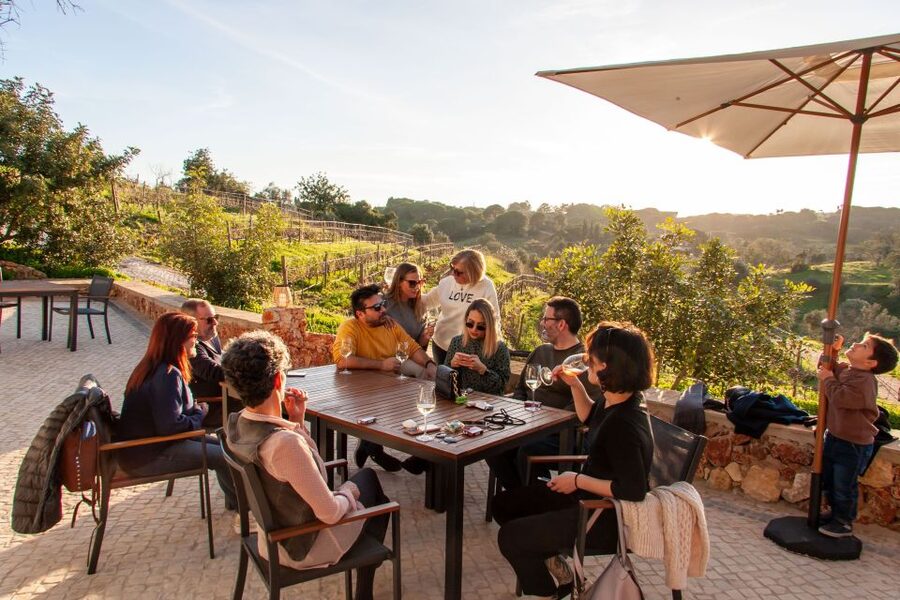 Porches: Algarve Vineyard Tour and Wine Tasting Experience - A Family Vineyard Near Porches