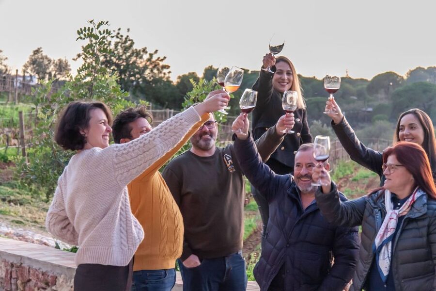 Porches: Algarve Vineyard Tour and Wine Tasting Experience - Is the $91 Price Good Value?