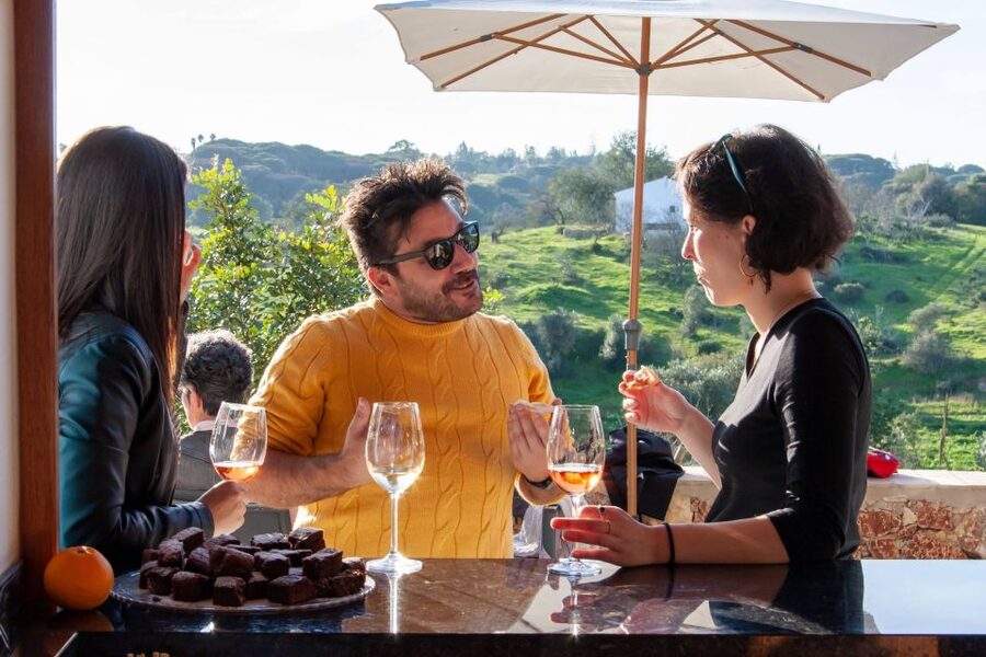 Porches: Algarve Vineyard Tour and Wine Tasting Experience - Who Should Book This Experience?