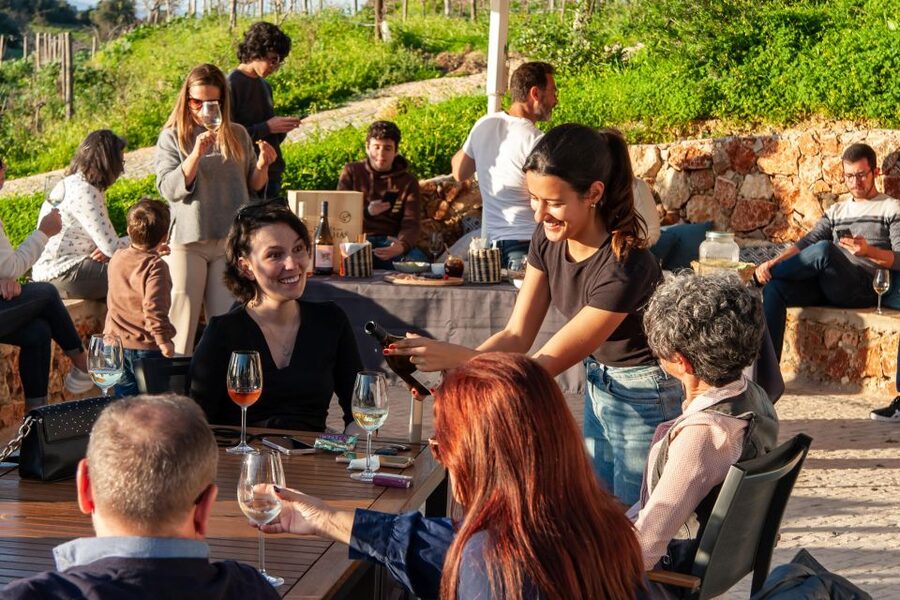 Porches: Algarve Vineyard Tour and Wine Tasting Experience - Booking and Timing Tips
