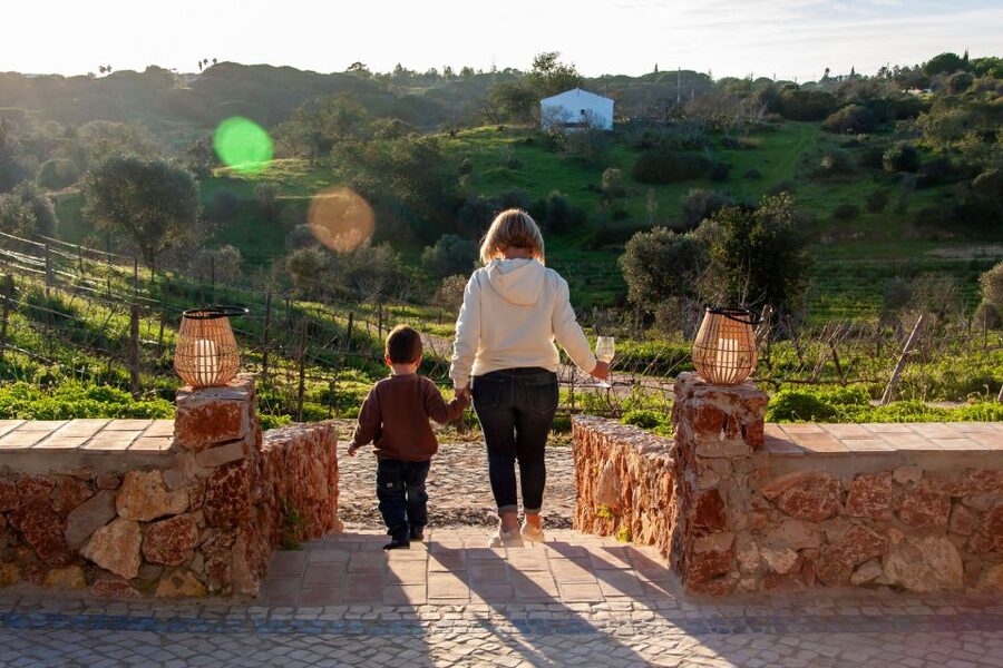 Porches: Algarve Vineyard Tour and Wine Tasting Experience - Should You Book Quinta dos Capinhas?
