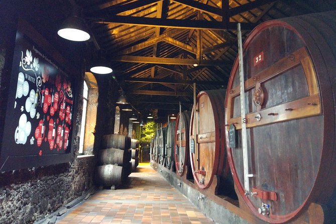 Port Wine Lodges Tour Including 7 Port Wine Tastings (English) - Walking, meeting point, and practical fit
