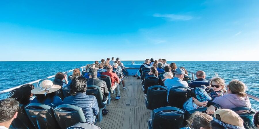 Portimão: Benagil Caves & Dolphins Watching with Biologist - Key points to know before booking