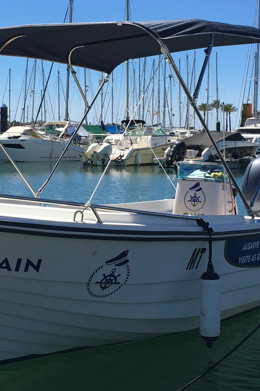 Portimão: Caves, Benagil and Algarve Coastline Boat Tour - What the small-group format changes