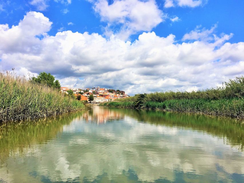 Portimão: Silves & Arade River History Tour on a Solar Boat - The return trip, views, and a glass of wine