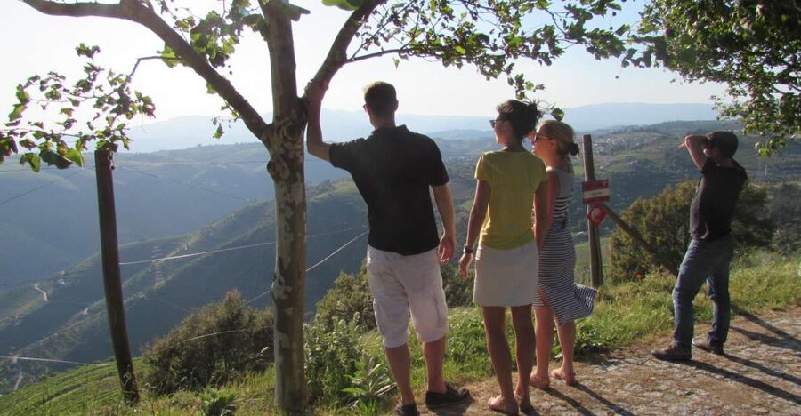 Porto: 3 Douro Valley Vineyards Tour with Lunch - The second estate and the best valley views