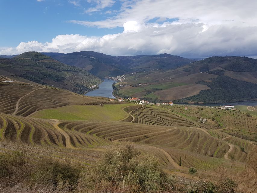 Porto: 3 Douro Valley Vineyards Tour with Lunch - The final winery and a serious Port tasting
