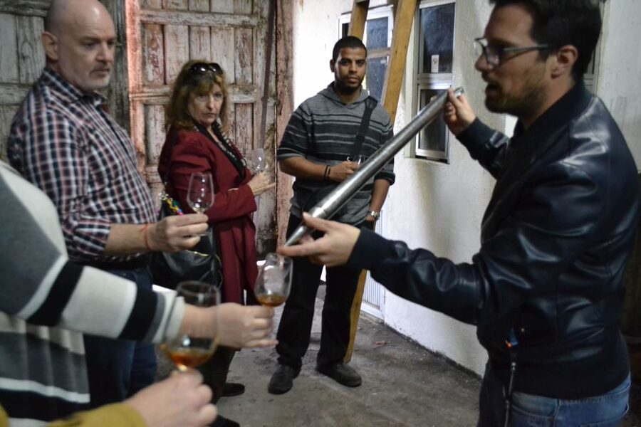 Porto: 3 Douro Valley Vineyards Tour with Lunch - Guide quality and group atmosphere
