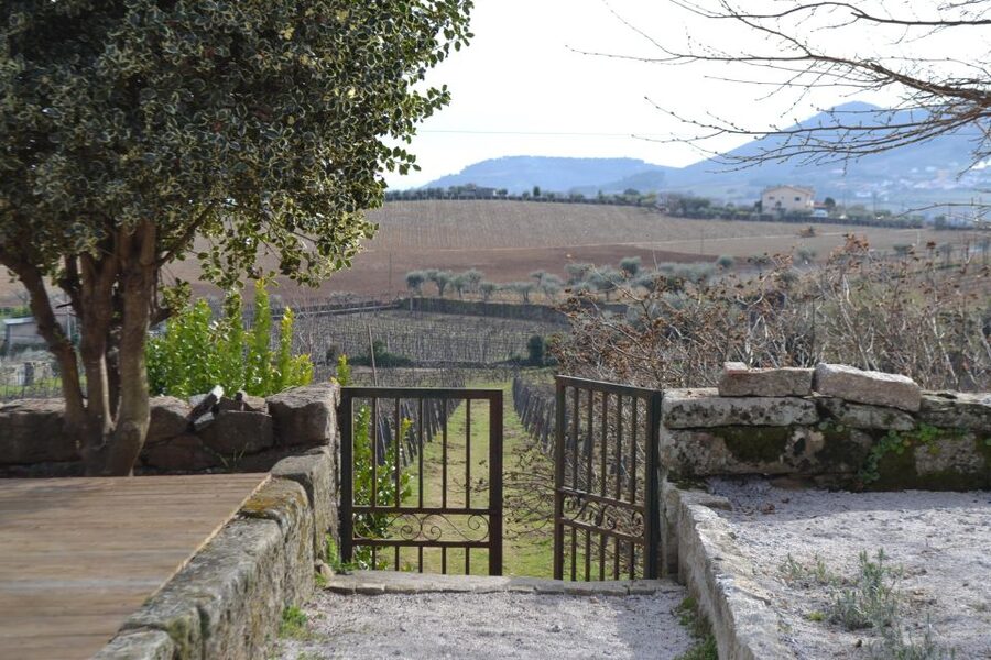 Porto: 3 Douro Valley Vineyards Tour with Lunch - Who should book this Douro Valley tour?