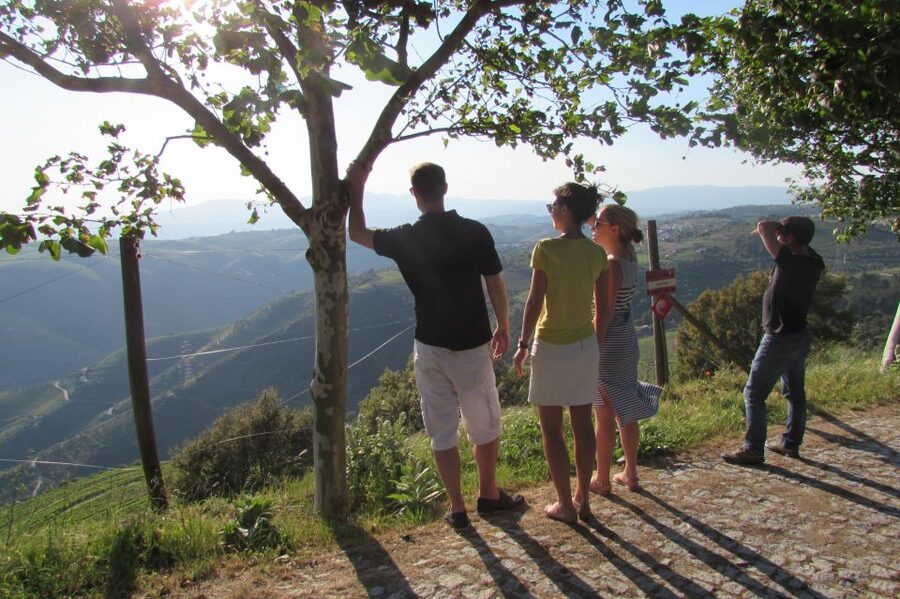 Porto: 3 Douro Valley Vineyards Tour with Lunch - First winery: a friendly introduction to Douro wine