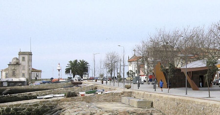 Porto: 3-Hour Bike Tour - What the guide adds to the ride