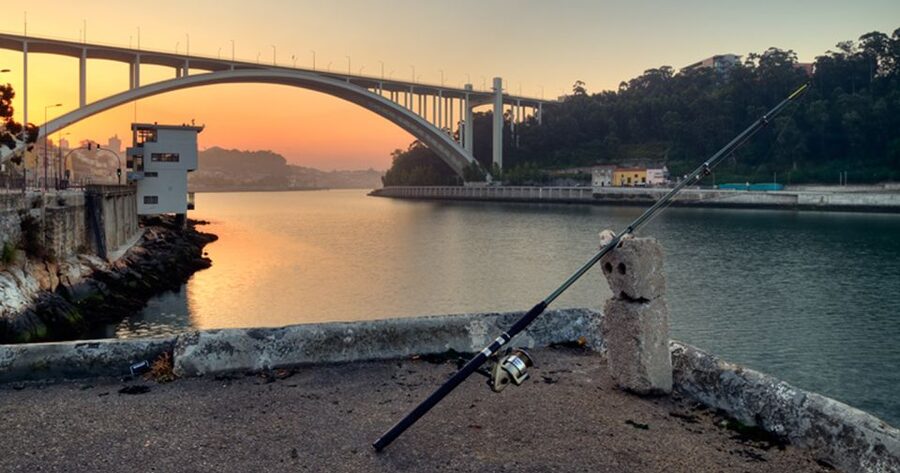 Porto: 3-Hour Bike Tour - Castelo do Queijo and Matosinhos Beach