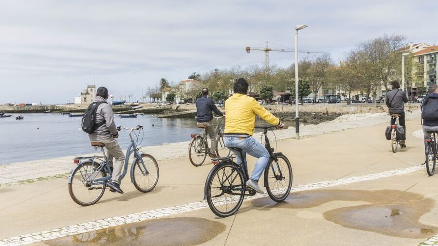 Porto: 3-Hour Bike Tour - City Park makes the ride feel greener