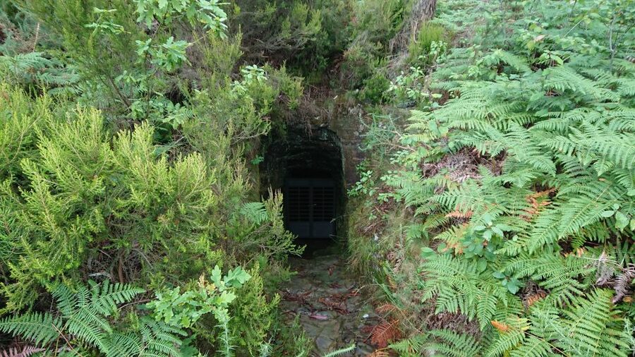 Porto: 4x4 Mountain Tour - Following the River Ferreira