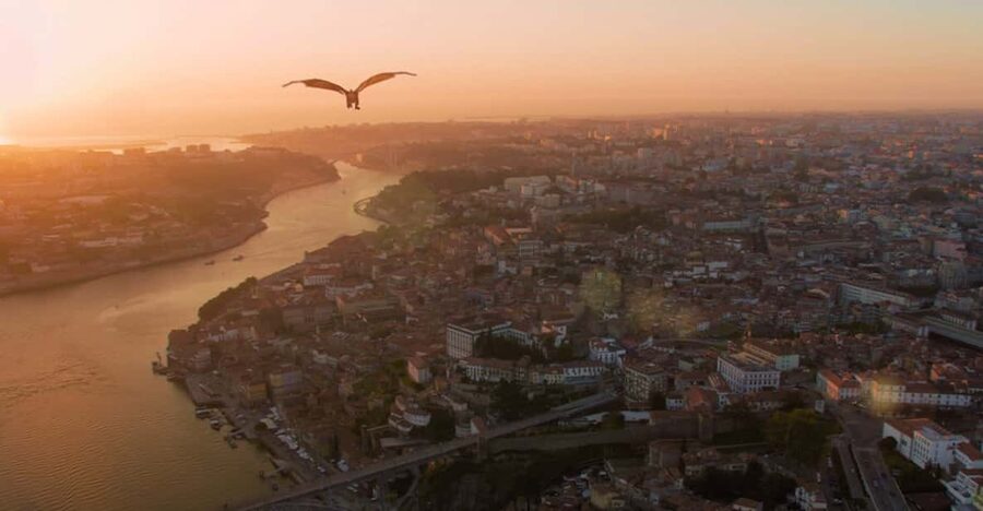 Porto: 5D Flight over de City for all family. - What $14 means for the value