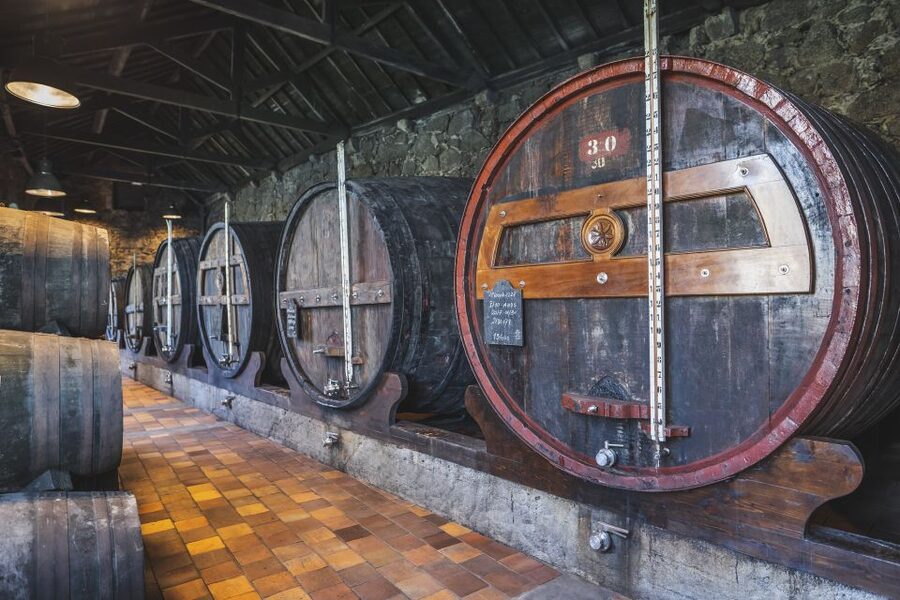 Porto: Burmester Cellar Tour with Tasting & Pairing Options - Why Burmester makes a good first Port stop