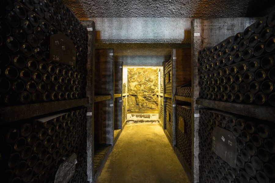 Porto: Burmester Cellar Tour with Tasting & Pairing Options - How the pairing changes the experience