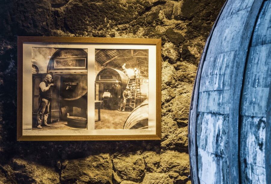Porto: Burmester Cellar Tour with Tasting & Pairing Options - Language, pace, and group size