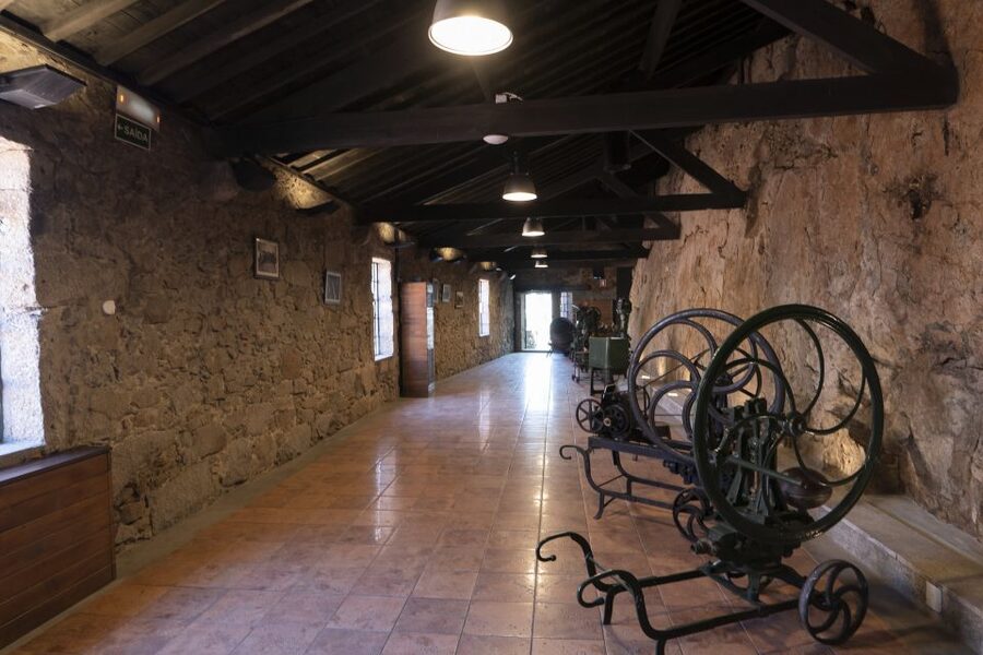 Porto: Burmester Cellar Tour with Tasting & Pairing Options - Who should book this Burmester visit?