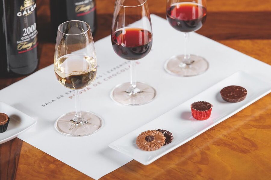 Porto: Cálem Cellar with Chocolate, Cheese, and Wine Tasting - What the guide explains about Port