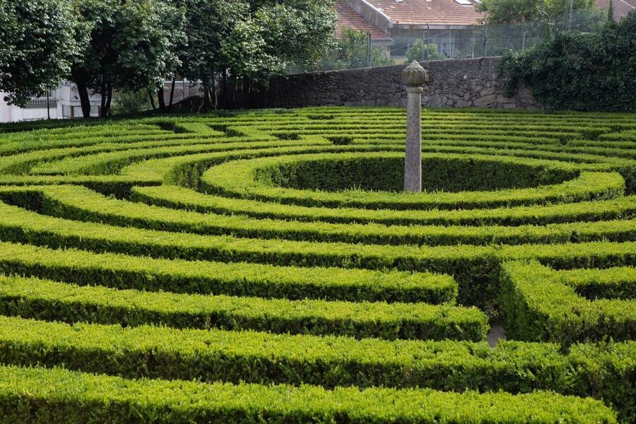 Porto: Casa São Roque Direct Entry Ticket - São Roque Park and its four hectares of garden