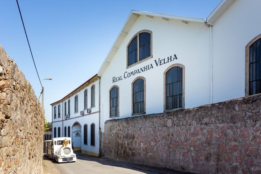 Porto: City Train Tour, River Cruise & Wine Cellar - Who should book this Porto combination