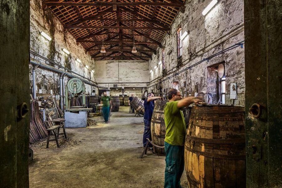 Porto: Cockburn’s Port Lodge Tour and Tasting - Tawny, vintage, and cheese options