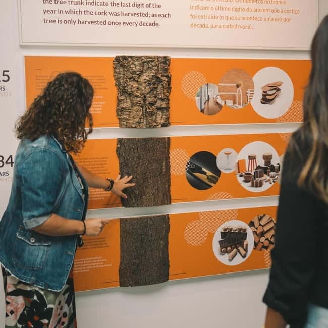 Porto: Combined Ticket for WOW Cultural District - The best museum combinations for different kinds of days