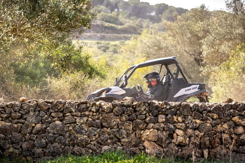 Porto: Dirt and Dust Tour by Oporto Buggy - What I like, and what gives me pause
