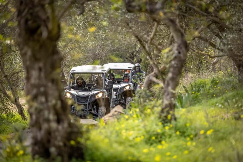 Porto: Dirt and Dust Tour by Oporto Buggy - Driving from Baltar into Porto’s rough country