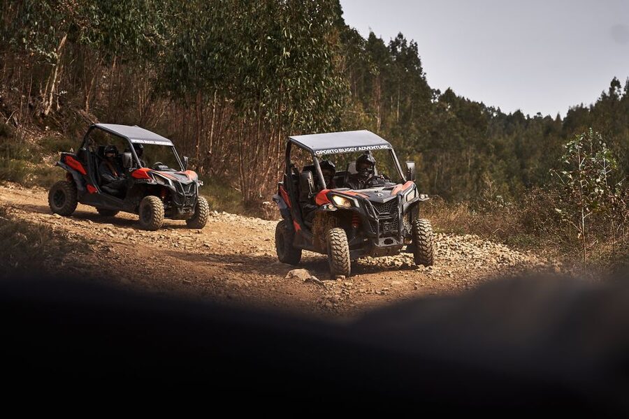 Porto: Dirt and Dust Tour by Oporto Buggy - What driving the buggy feels like