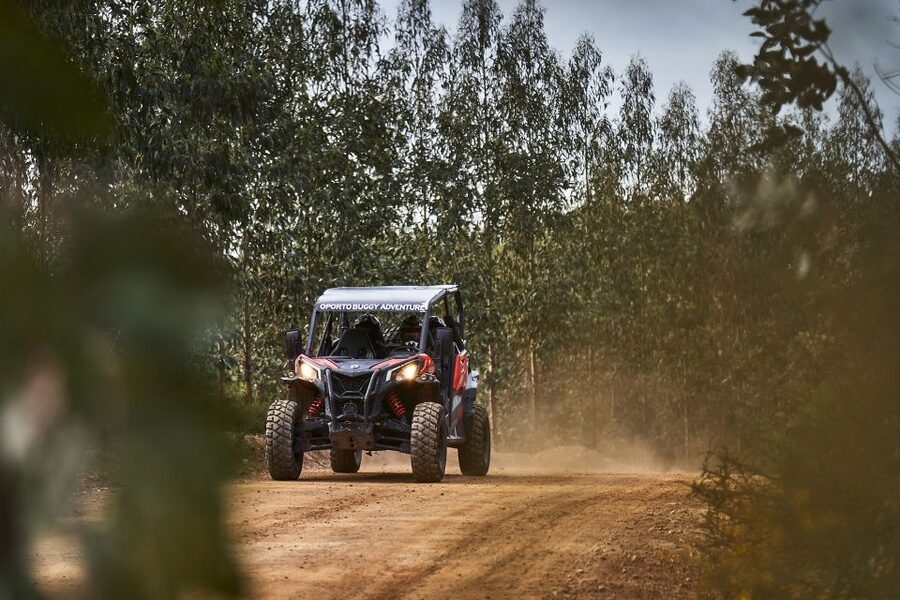Porto: Dirt and Dust Tour by Oporto Buggy - Who should choose this tour?