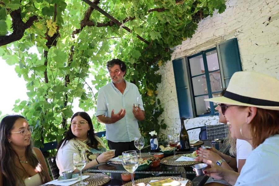Porto: Douro Valley, 2 Wineries, Lunch, and 1-Hour Boat Tour - Provesende and the first local tasting