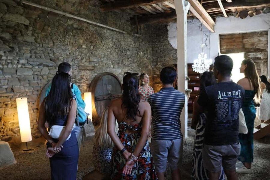 Porto: Douro Valley, 2 Wineries, Lunch, and 1-Hour Boat Tour - What the small-group format adds