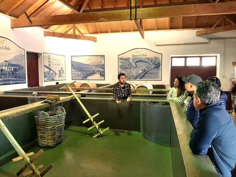 Porto: Douro Valley, 2 Wineries, Lunch & Private Boat Trip - What makes this Douro Valley day different