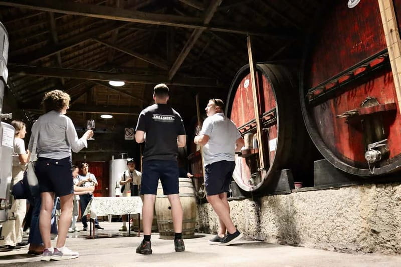 Porto: Douro Valley, 2 Wineries, Lunch & Private Boat Trip - The second producer and a closer look at Port
