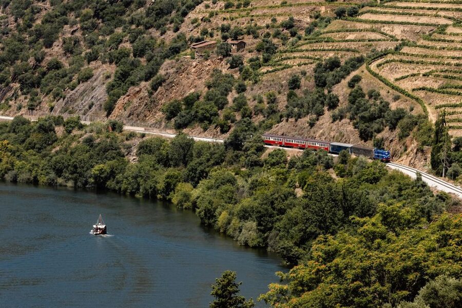 Porto: Douro Valley Full-Day Boat, Train, and Lunch Tour - Key points at a glance