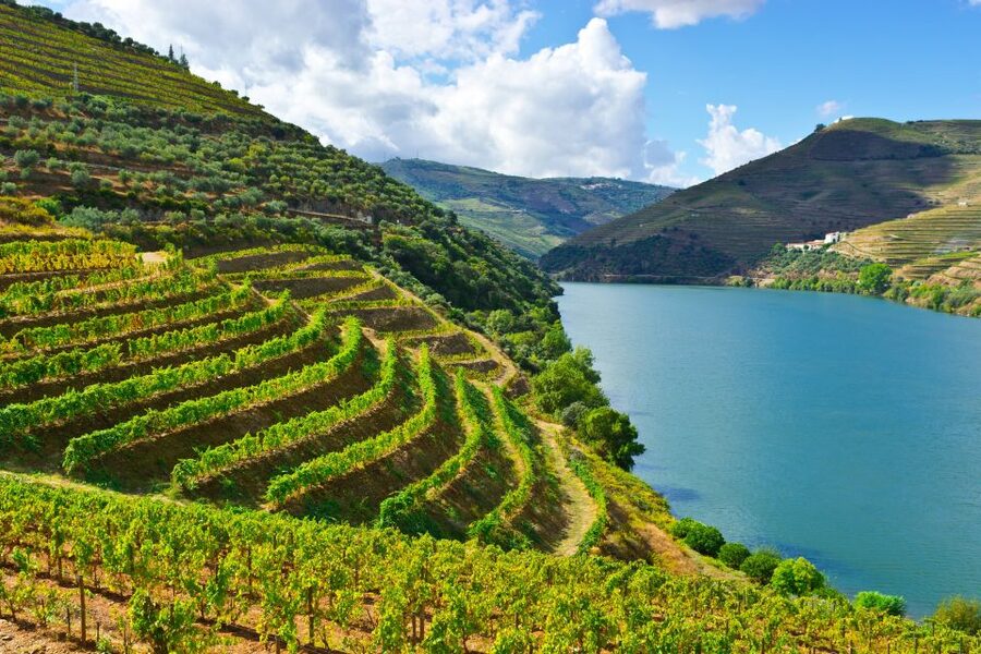 Porto: Douro Valley History & Wine Tour with Cruise & Lunch - Key points to know before booking