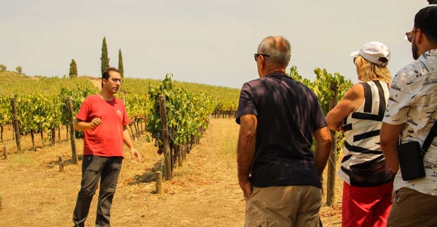 Porto: Douro Valley History & Wine Tour with Cruise & Lunch - Amarante: a short taste of a handsome town