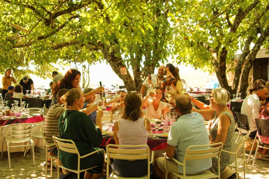 Porto: Douro Valley History & Wine Tour with Cruise & Lunch - São Leonardo da Galafura and the Douro panorama