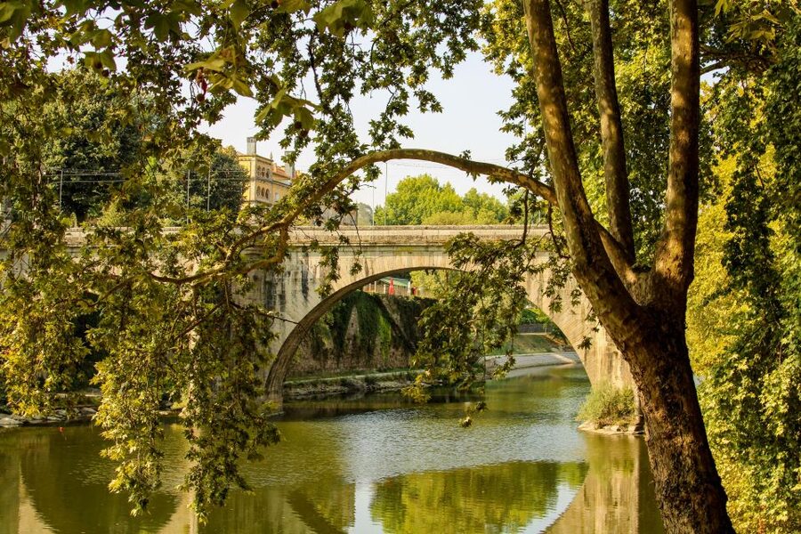 Porto: Douro Valley History & Wine Tour with Cruise & Lunch - A three-course Douro lunch above the river
