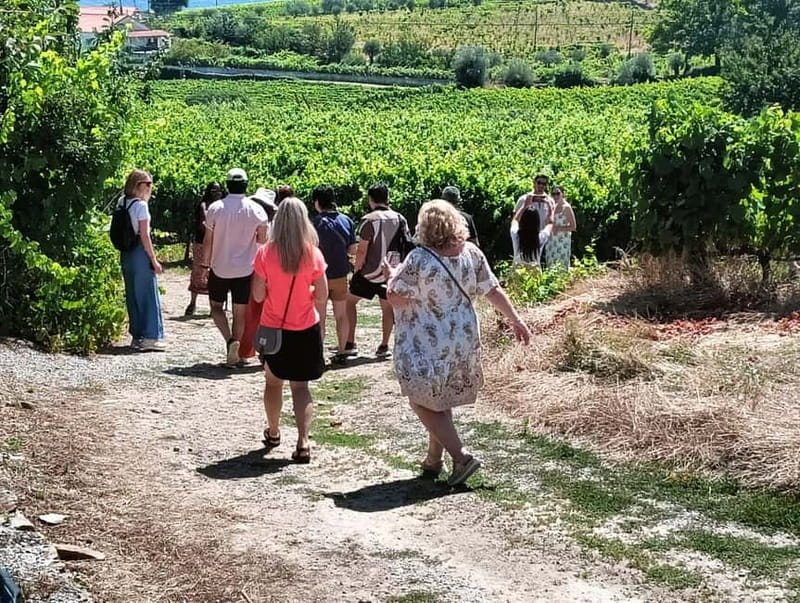Porto: Douro Valley Tour at 2 Wineries with Lunch and Cruise - The Régua stop and the first big views