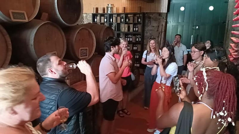 Porto: Douro Valley Tour at 2 Wineries with Lunch and Cruise - Lunch at a vineyard in Sabrosa