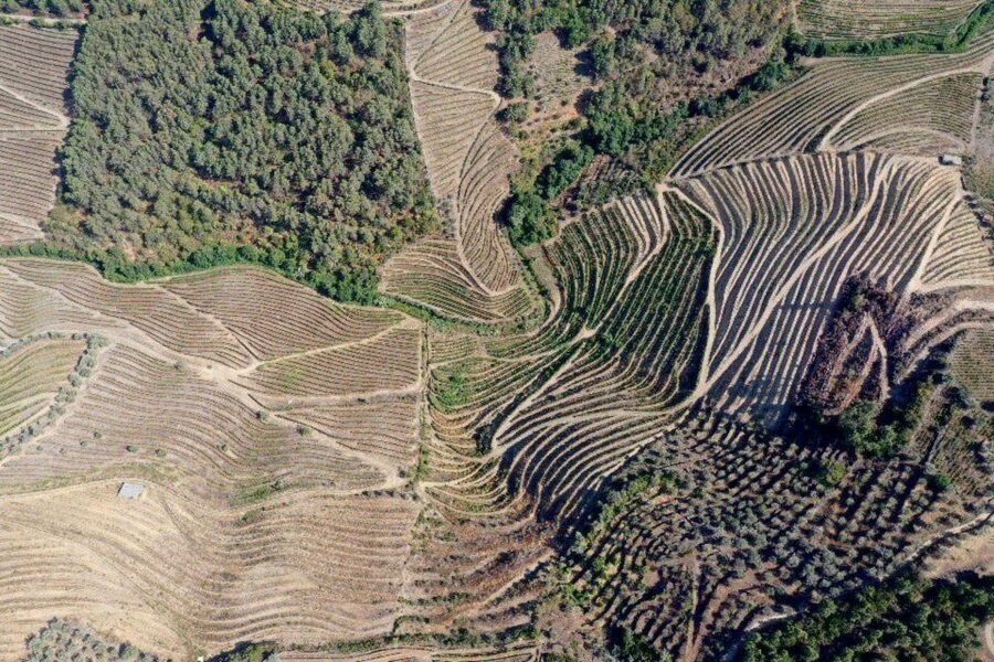 Porto: Douro Valley Tour w/ 3 Tastings, Lunch, & Opt. Cruise - Key points at a glance