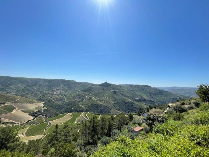 Porto: Douro Valley Tour with 2 Wineries, Lunch and Cruise - Why this Douro Valley day works so well