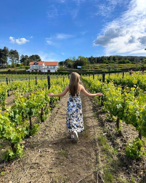 Porto: Douro Valley Tour with 2 Wineries, Lunch and Cruise - Lunch at a family winery in Sabrosa