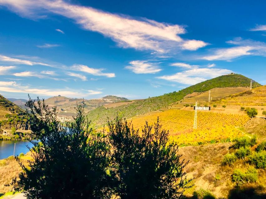 Porto: Douro Valley Tour with 2 Wineries, Lunch and Cruise - The two winery visits and Port wine