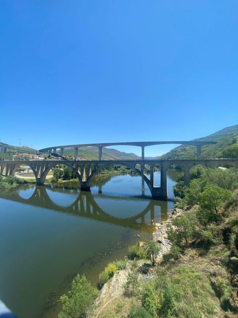 Porto: Douro Valley Tour with 2 Wineries, Lunch and Cruise - What the guide adds to the day