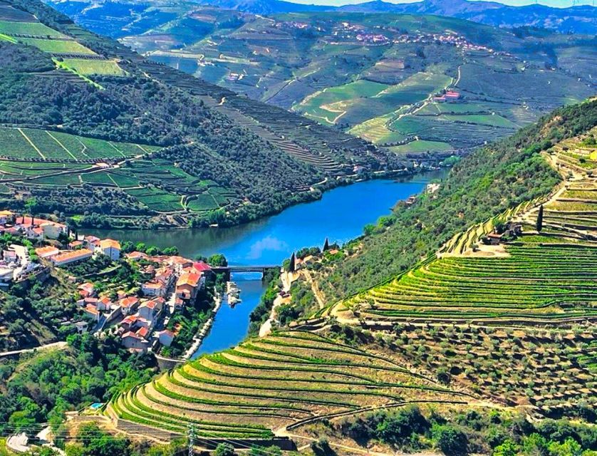 Porto: Douro Valley Tour with 2 Wineries, Lunch and Cruise - Rain, comfort, and who should book