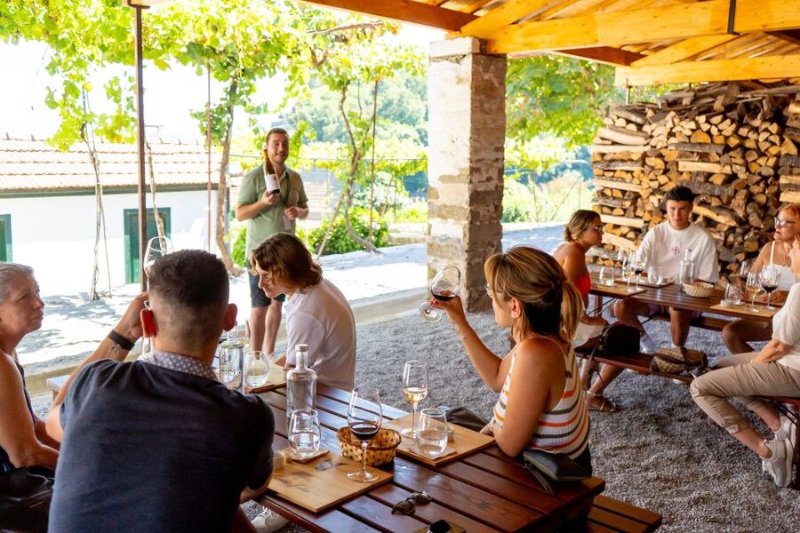 Porto: Douro Valley Tour with Lunch, Boat Cruise & Tastings - Lunch in a wine cellar